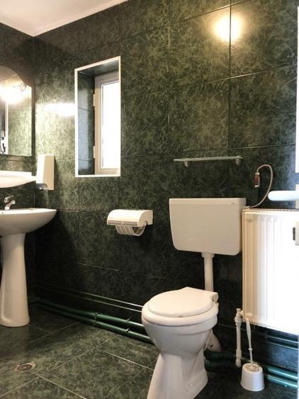 Vila 8 cam. bd. Timisoara stradal-oportunitate comerciala si rezidentiala unica - 9