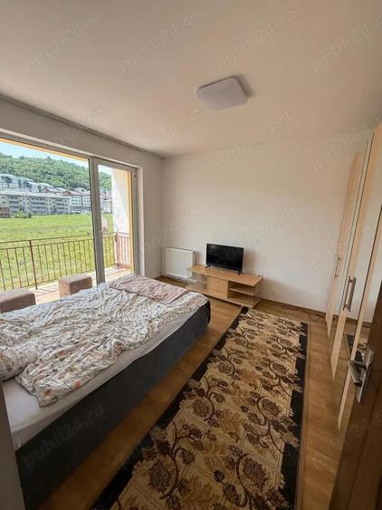 Apartament 1 camera decomandat Porii - 3