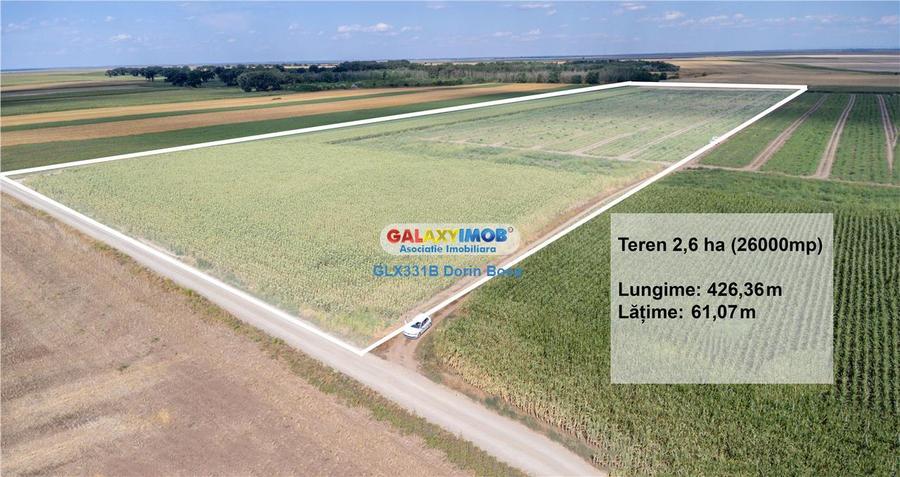 Teren agricol extravilan 2.6 ha - 26.000 mp - Valcelele, Buzau - 1