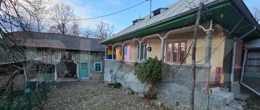 Casa rustica (62mp) in sat Magura cu 1000mp teren si anexe! - 13