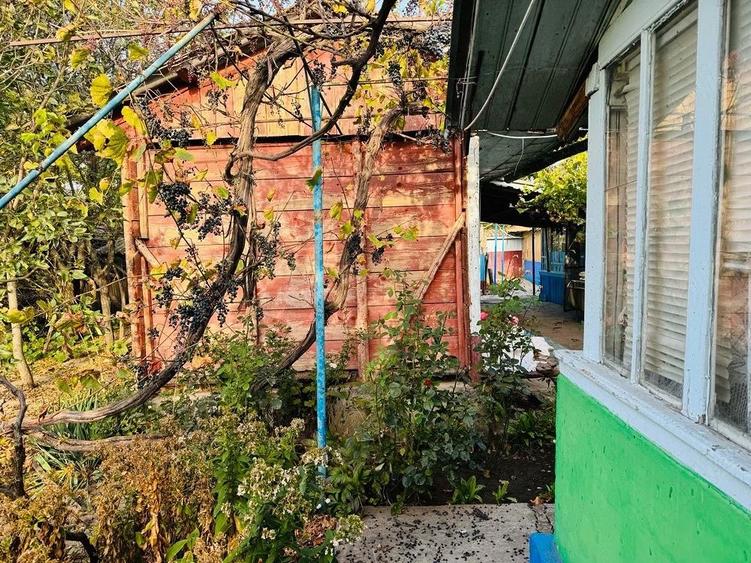 Casa Batraneasca (Com. Grindu Jud. Ialomita ) - 8