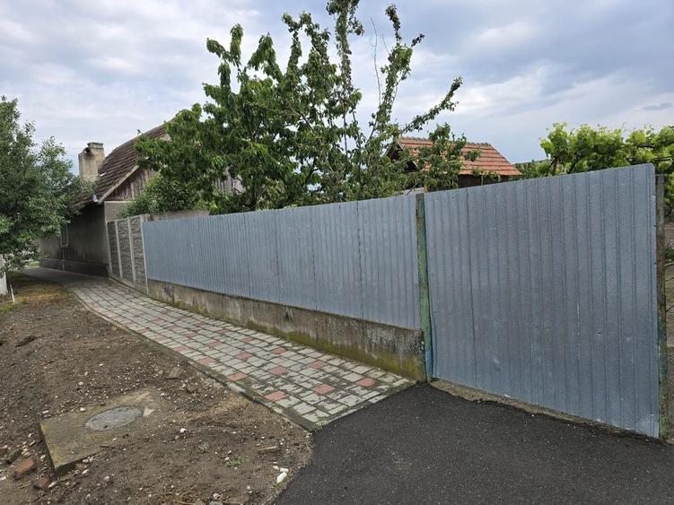 ? Casă renovată cu teren generos - Ciacova, Timiș, 800 mp teren - 12