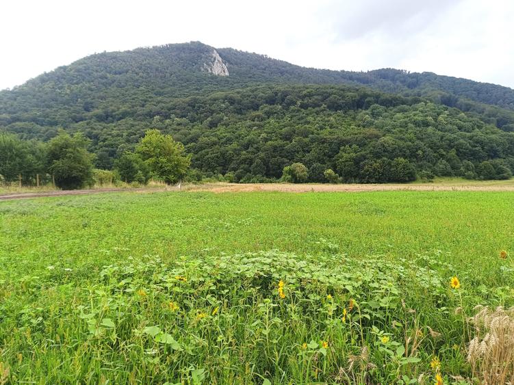 De vanzare - Teren intravilan pentru constructii – 16.500 mp / 0% comision - 5