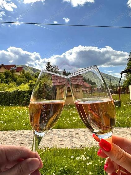 Casa/Vila la cheie/115mp in Poiana Marului, jud Caras Severin - 4