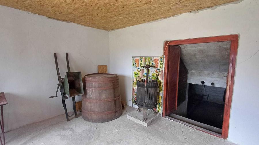 Pivnita cu crama de vanzare - 7