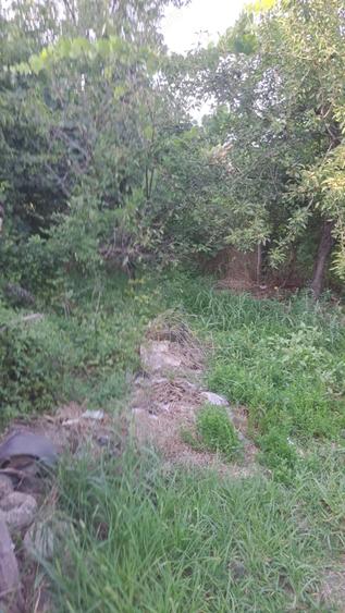 Casa de vanzare Loc. Seaca Rm. Valcea - 3