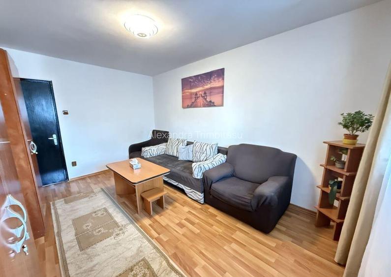 Apartament 2 Camere Teiul Doamnei Lacul Tei Apartament 2 Camere Teiul Doamnei Lacul Tei