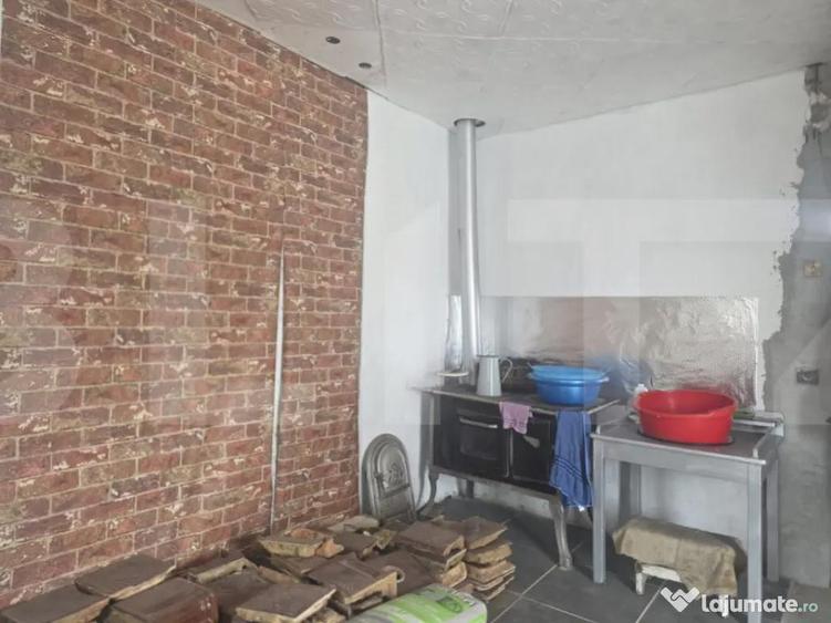 Casa taraneasca in inima naturii - 1