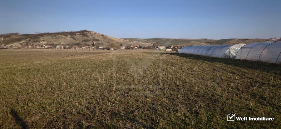 Teren industrial 3500mp, Apahida - 2