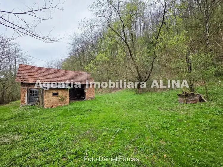 Teren intravilan 1.700 mp + 6.600 mp Padure de foioase + 1.200 mp Padure de foioase, Sat Nojag. - 2