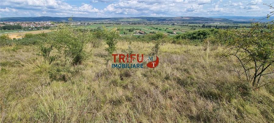 Teren extravilan de 2500 mp de vanzare in Paclisa priveliste deosebita Teren extravilan de 2500 mp de vanzare in Paclisa priveliste deosebita