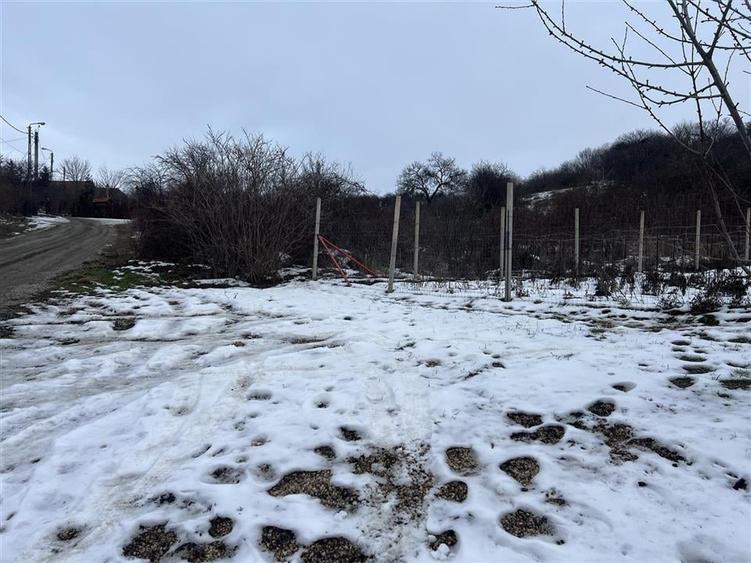 RECO teren intravilan Oradea - 6