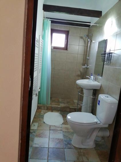 Pensiune Casa de vacanta de vanzare 6 camere Paltinis Sibiu - 6