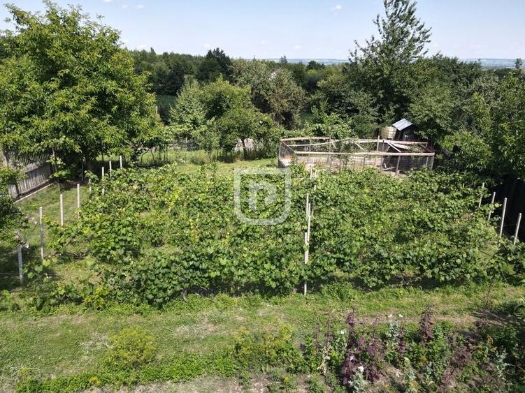 Casa la tara cu 30 ari Rasca - 14