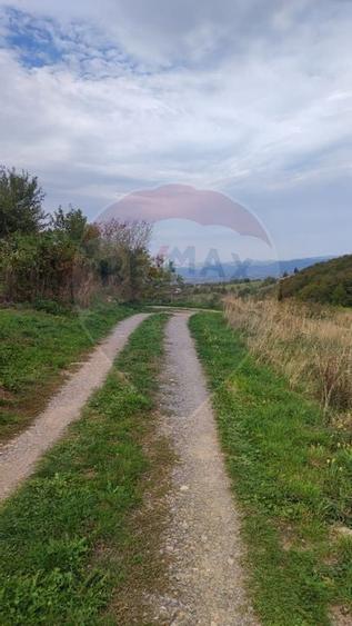 Teren constructii si faneata/livada 3082 mp Damis Bratca drum DJ 764D - 7