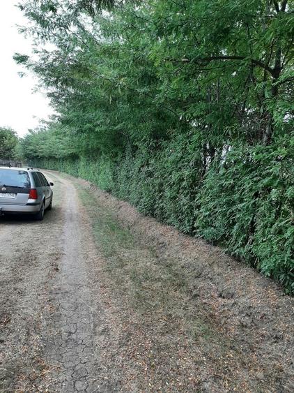 Teren str Casa Apelor - 4