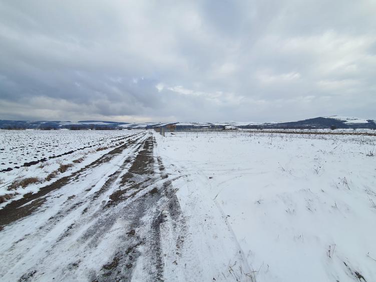 Teren Bod sat zona Dacia plant - 2