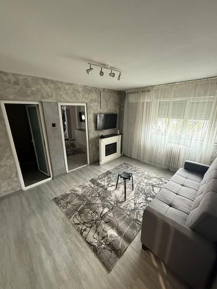 Apartament pet friendly 2 camere Vasile Parvan - Cismigiu - Victoriei - 4