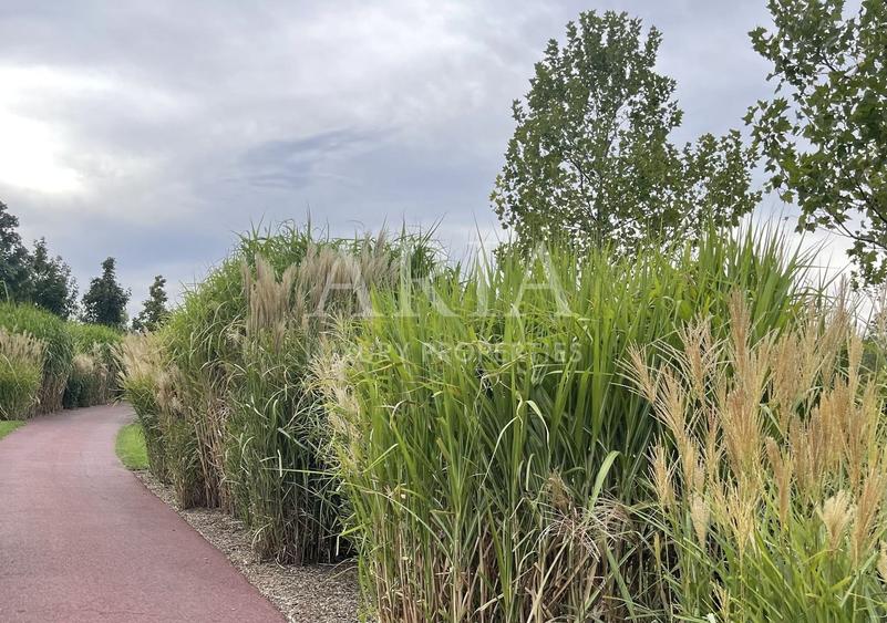 Dumbrava Vlasiei – Armonie între design, lumină și natură - 12