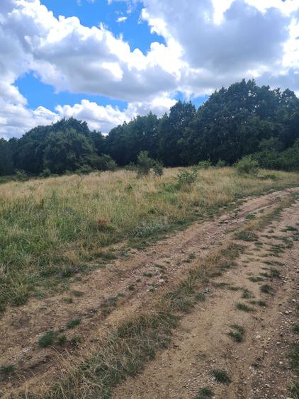 Teren extravilan 2500m2. Panorama superba.-Salicea - 7