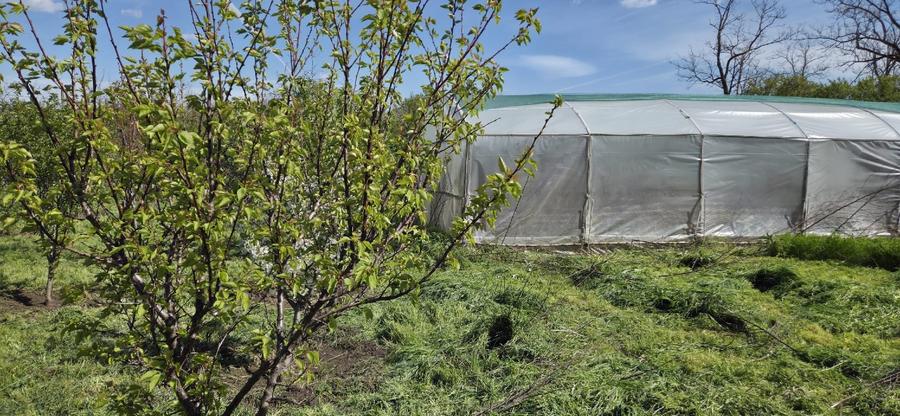 Vand proprietate   - 4