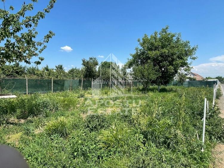 Teren 627 mp, vatra veche - lipit de carierul Primaverii, Giarmata