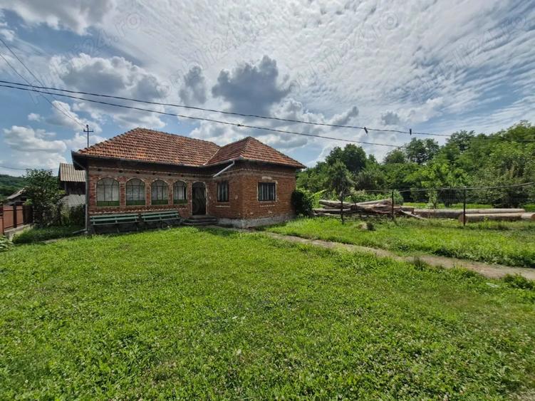 VAND CASA IN CAPU Piscului Godeni judetul Arges - 8