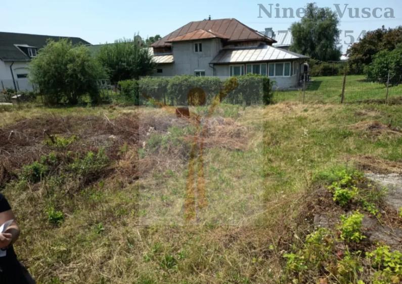 TEREN INTRAVILAN ANINOASA-DAMBOVITA - 5