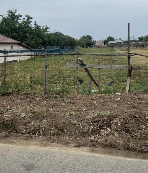 Teren vidra intravilan Strada Campului suprafata 1562 m - 3