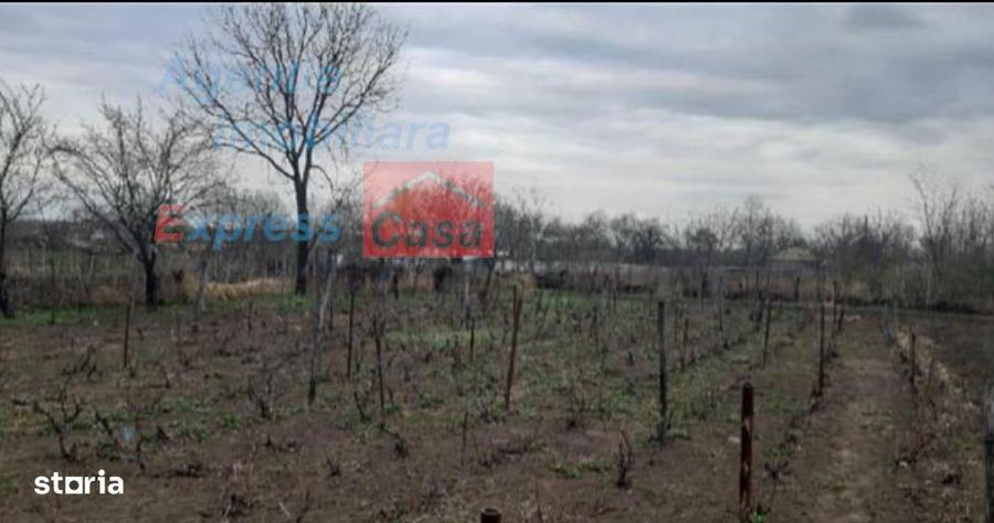 Teren de vanzare 3000 mp, Prisacani (27 km de IASI) - 3