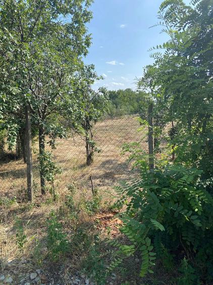 Vand Teren 1500 m2 (Sau 2 loturi a 750 m2 fiecare) (Pret negociabil) - 4