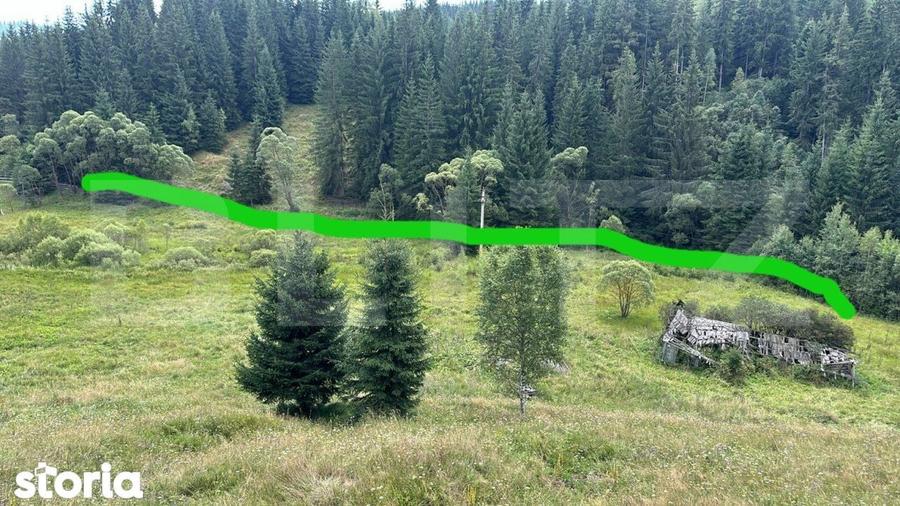 Teren intravilan de vanzare, 6941 mp, zona Mestecanis - 2