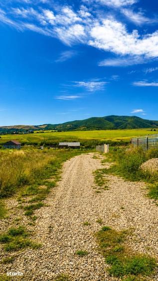 Teren de 1630 mp, în Luizi-Călugăra