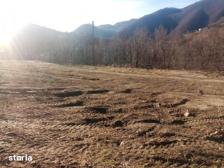 Teren de 7432 mp, în Sebeșel