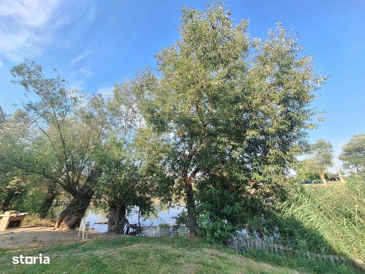 Casă cu 3 camere cu Teren 305 Mp în Central