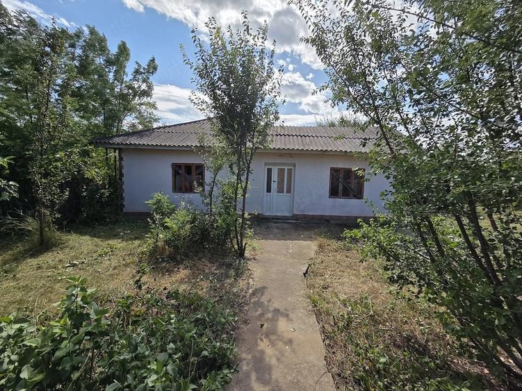 De vanzare (persoana fizica) Teren intravilan 1.335 mp cu casa, comuna Erbiceni, jude?ul Ia?i - 3