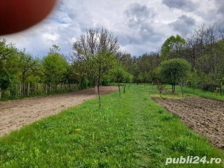 Teren de 2403 mp, în Iedera