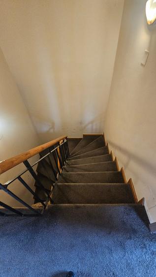 Ocazie! vila herastrau libera, teren 243 mp - 4