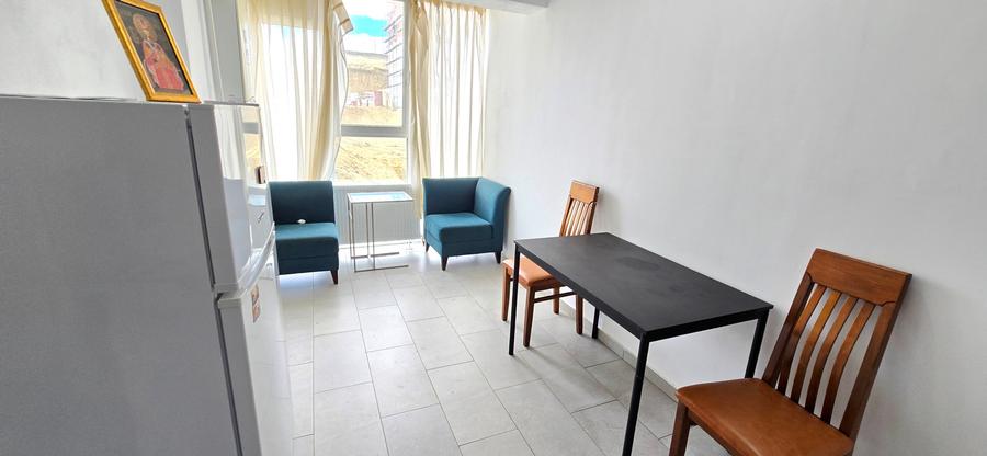 Apartament 1 camera decomandat, mobilat, Bucium - Visan ACCEPT CREDIT - 1