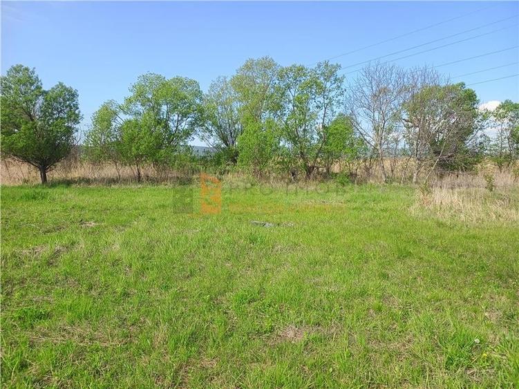 Teren intravilan si extravilan zona Viperesti - 3