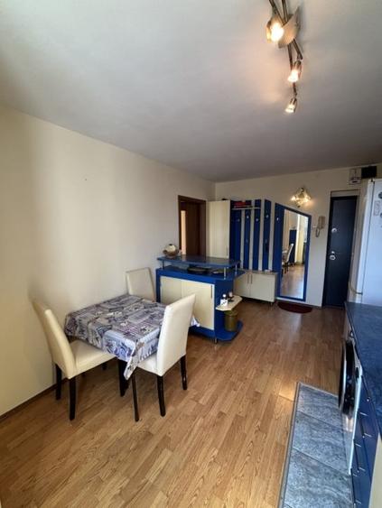 Apartament 2 camere - mobilat utilat - Terezian - 7