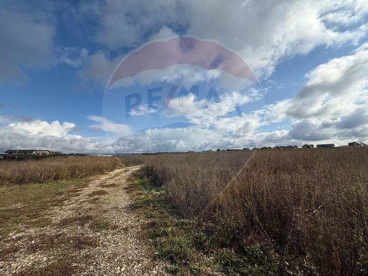 Comision 0%! Lot de casa in zona de dezvoltare, intre Sanpetru si Bod - 4