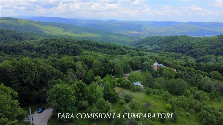 DEALUL MALULUI, TEREN 1500 MP INCONJURAT DE PADURE - 10