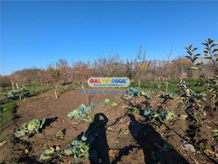 Adunatii Copaceni vila P+1 ,5 camere,suprafata 165 mp, teren 1300 mp - 20