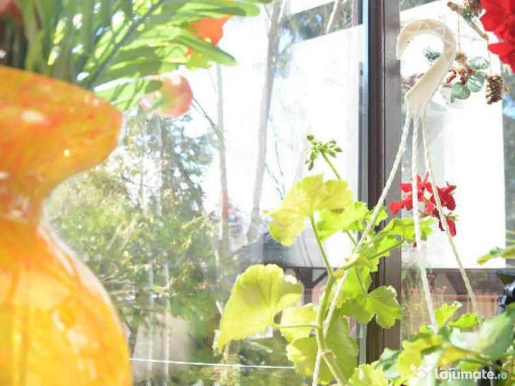 Apartament cu trei camere situat in Busteni - 14