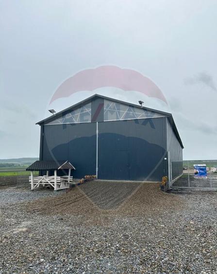 HALA - Spa?iu industrial de 345mp de inchiriat - 1