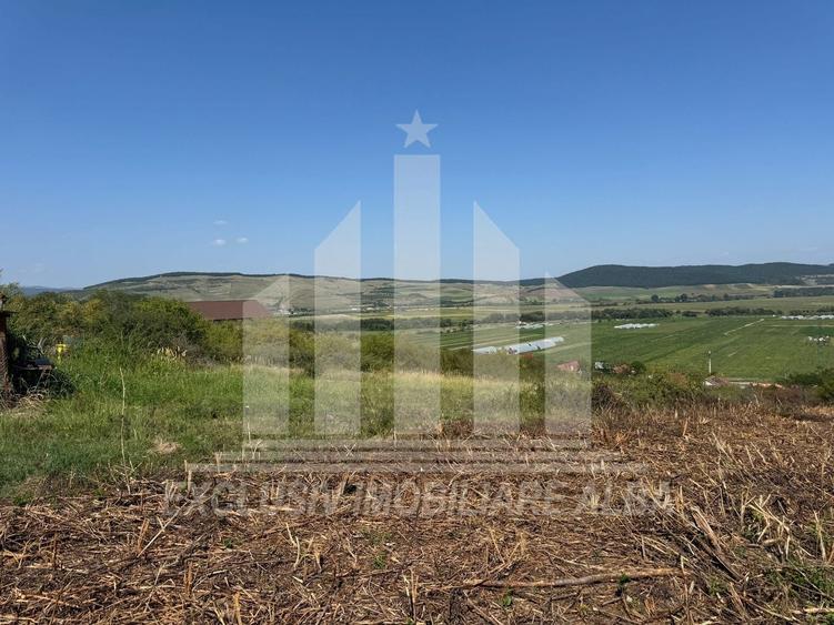 Teren intravilan | De vanzare | 1000 mp | 17 ml deschidere | Micesti - 1