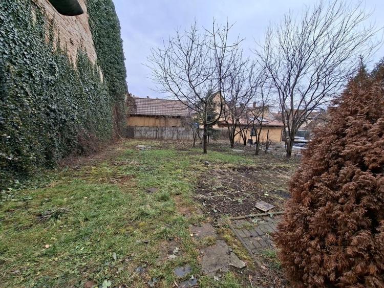 Apartament Centrul Istoric Castelului, langa Olympia - 10