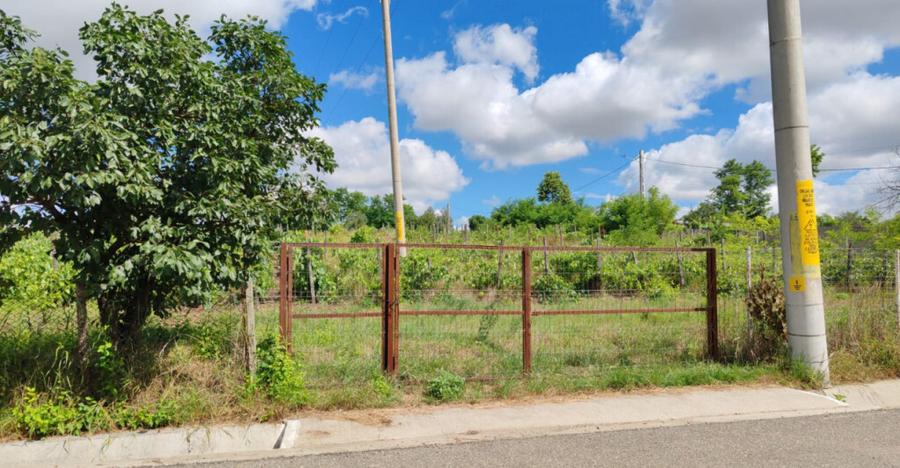 Teren Intravilan de inchiriat - 3