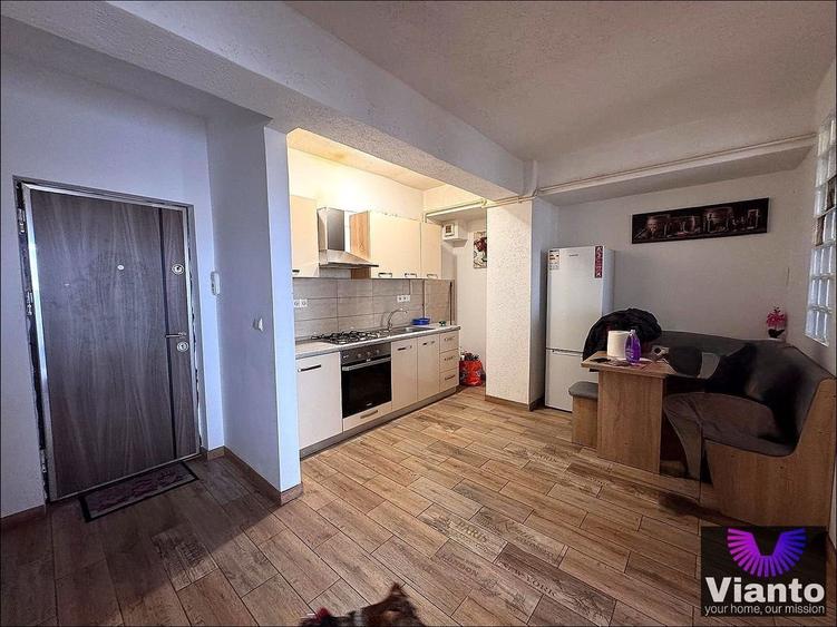 APARTAMENT 2 CAMERE | DOAMNA STANCA - 4